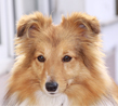 Klikn�te pro zv�t�en�