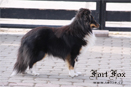 Klikn�te pro zv�t�en�